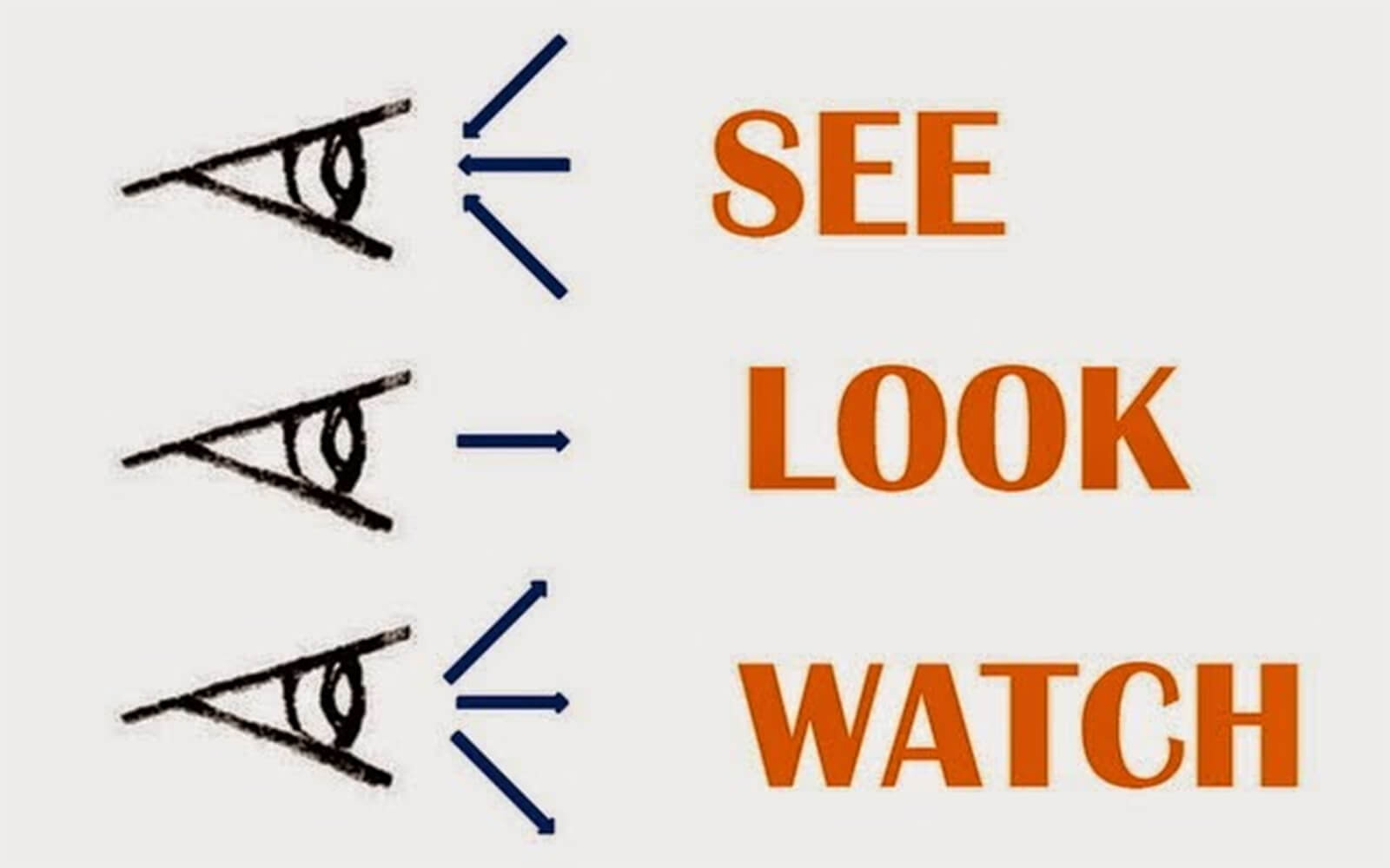 Thử tài dùng động từ 'look, 'see' và 'watch'.