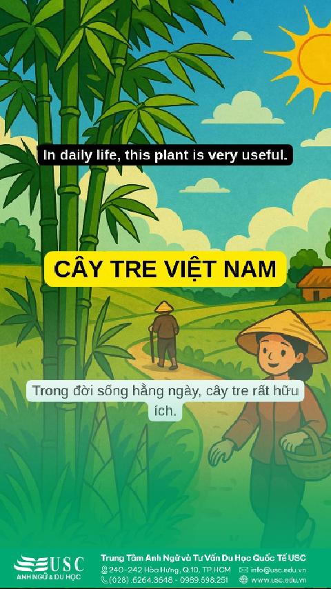 🎋 Tre hiện diện khắp nơi: trong làng quê, trong thơ ca, trong những công cụ lao động và cả trong tinh thần bất khuất của người Việt. 👉 Hãy luyện nghe tiếng Anh cùng USC và lan tỏa niềm tự hào văn hóa Việt Nam.