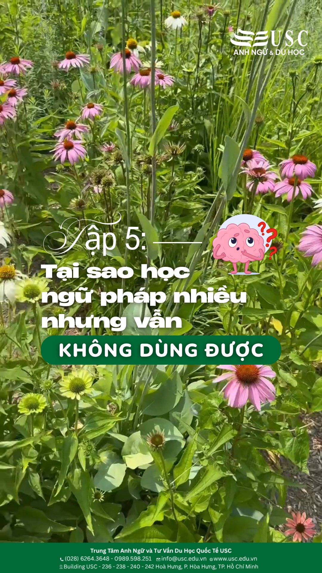 Series: Những điều mình học được từ Coursera để áp dụng vào dạy tiếng Anh. Học nhiều ngữ pháp nhưng lúc nói chuyện lại "quên sạch"?